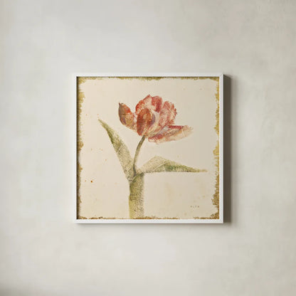 Vintage Flaming Parrot Tulip Crop by Cheri Blum. Shown in a crisp white glass frame for a clean and minimalist style. Available as an archival giclee rolled canvas, fine art paper, or poster print. SKU 24592a.