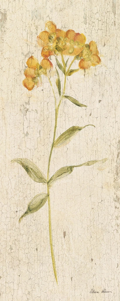 Vintage Freesia by Cheri Blum