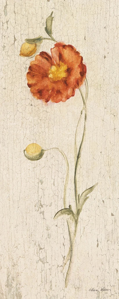 Vintage Poppy by Cheri Blum