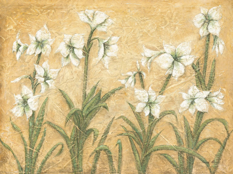White Amaryllis Garden by Cheri Blum