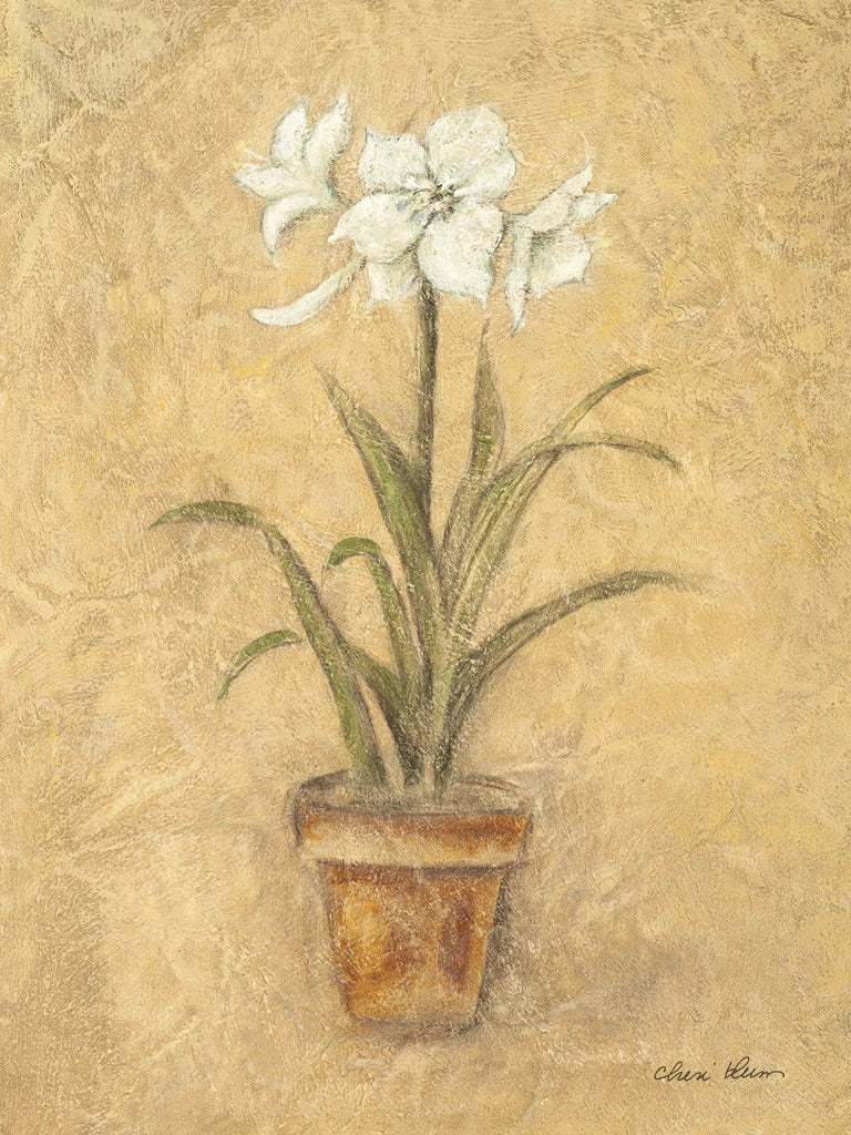 White Amaryllis I by Cheri Blum
