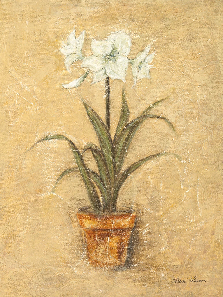 White Amaryllis II by Cheri Blum
