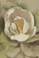 White Blossom Crop by Cheri Blum. SKU 90128h. Archival Giclee Fine art print for wall decor.