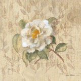 White Floral I by Cheri Blum. SKU 7256a. Archival Giclee Fine art print for wall decor.