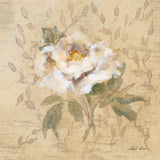White Floral II by Cheri Blum. SKU 7257a. Archival Giclee Fine art print for wall decor.
