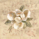 White Floral III by Cheri Blum. SKU 7258a. Archival Giclee Fine art print for wall decor.
