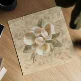 White Floral III by Cheri Blum. Shown as a detailed flat fine art print, highlighting archival giclee quality. Available as an archival giclee rolled canvas, fine art paper, or poster print. SKU 7258a.