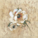 White Floral IV by Cheri Blum. SKU 7259a. Archival Giclee Fine art print for wall decor.
