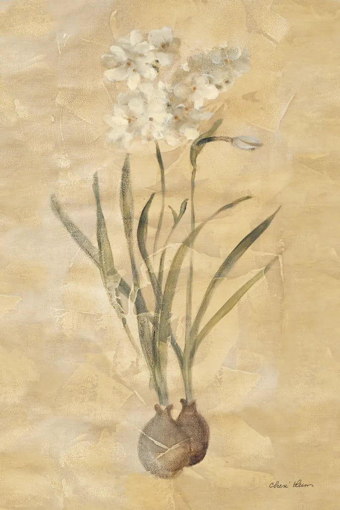 White Narcissus by Cheri Blum. SKU 7121h. Archival Giclee Fine art print for wall decor.