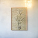 White Narcissus by Cheri Blum. shown as a paper print in a natural frame. Available as a archival giclee rolled canvas, fine art paper, or poster print. SKU 7121h.