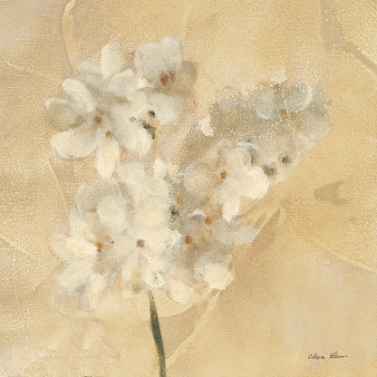 White Narcissus Crop by Cheri Blum. SKU 7013a. Archival Giclee Fine art print for wall decor.