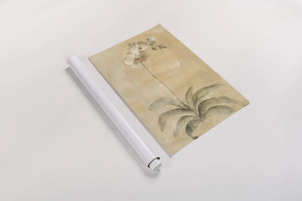 White Orchid by Cheri Blum. shown as a rolled paper print. Available as archival giclee rolled canvas, fine art paper, or poster print. SKU 7120h.