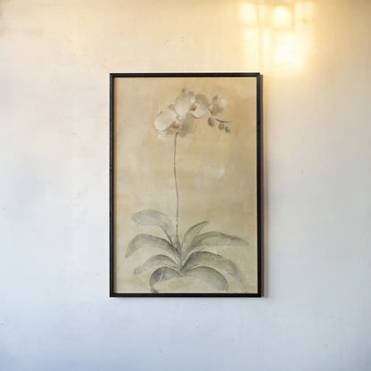 White Orchid by Cheri Blum. shown as a paper print in a black flame. Available as a archival giclee rolled canvas, fine art paper, or poster print. SKU 7120h.