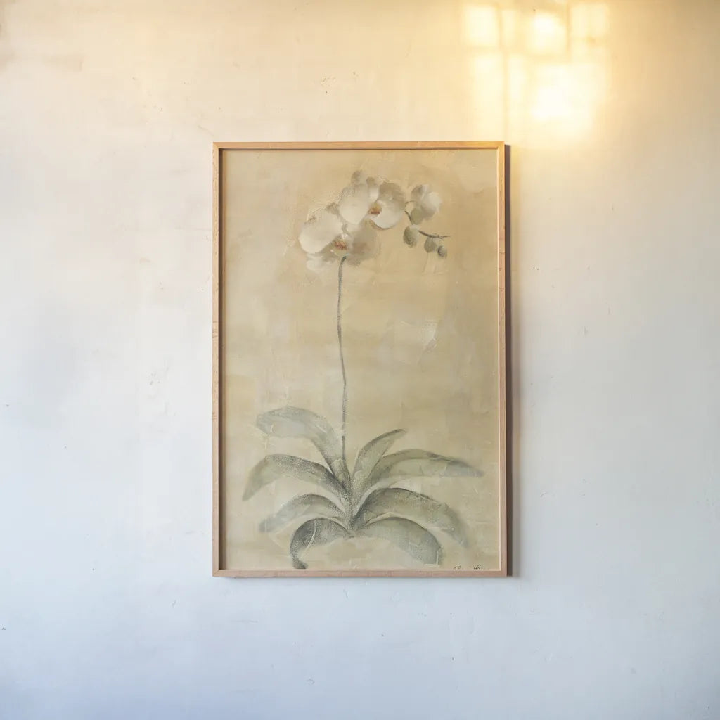 White Orchid by Cheri Blum. shown as a paper print in a natural frame. Available as a archival giclee rolled canvas, fine art paper, or poster print. SKU 7120h.