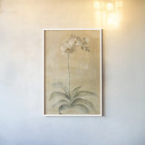 White Orchid by Cheri Blum. shown as a paper print in a white frame. Available as a archival giclee rolled canvas, fine art paper, or poster print. SKU 7120h.