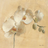 White Orchid Crop by Cheri Blum. SKU 7012a. Archival Giclee Fine art print for wall decor.