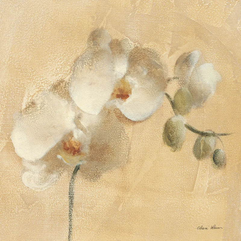 White Orchid Crop by Cheri Blum. SKU 7012a. Archival Giclee Fine art print for wall decor.