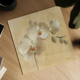 White Orchid Crop by Cheri Blum. Shown as a detailed flat fine art print, highlighting archival giclee quality. Available as an archival giclee rolled canvas, fine art paper, or poster print. SKU 7012a.