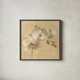 White Orchid Crop by Cheri Blum. Shown in a sleek black glass frame for a contemporary gallery look. Available as an archival giclee rolled canvas, fine art paper, or poster print. SKU 7012a.