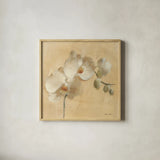 White Orchid Crop by Cheri Blum. Shown in a natural wood glass frame for a timeless modern aesthetic. Available as an archival giclee rolled canvas, fine art paper, or poster print. SKU 7012a.