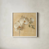 White Orchid Crop by Cheri Blum. Shown in a crisp white glass frame for a clean and minimalist style. Available as an archival giclee rolled canvas, fine art paper, or poster print. SKU 7012a.