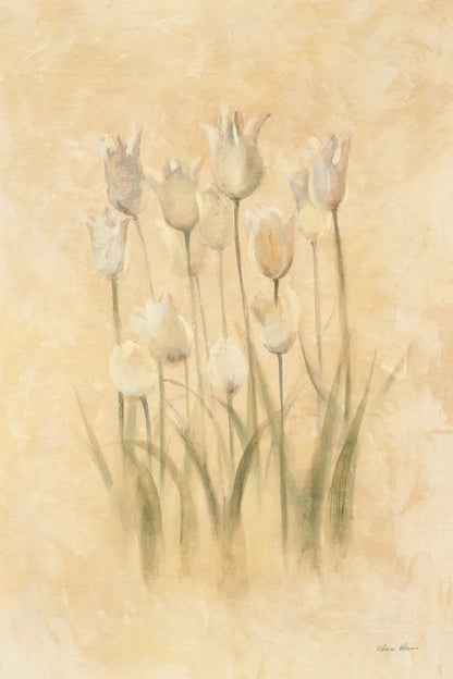 White Triumphator Tulips by Cheri Blum. SKU 7044h. Archival Giclee Fine art print for wall decor.