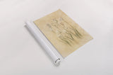 White Triumphator Tulips by Cheri Blum. shown as a rolled paper print. Available as archival giclee rolled canvas, fine art paper, or poster print. SKU 7044h.