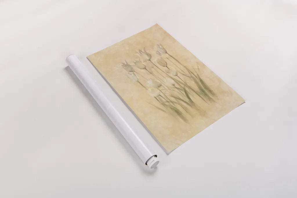 White Triumphator Tulips by Cheri Blum. shown as a rolled paper print. Available as archival giclee rolled canvas, fine art paper, or poster print. SKU 7044h.