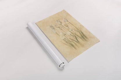 White Triumphator Tulips by Cheri Blum. shown as a rolled paper print. Available as archival giclee rolled canvas, fine art paper, or poster print. SKU 7044h.