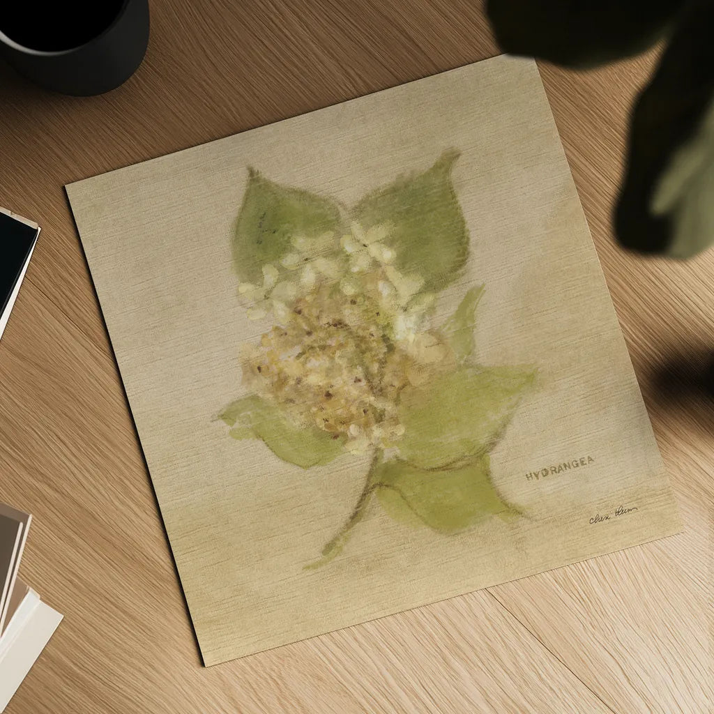 White Velvet Hydrangea by Cheri Blum. Shown as a detailed flat fine art print, highlighting archival giclee quality. Available as an archival giclee rolled canvas, fine art paper, or poster print. SKU 6973a.