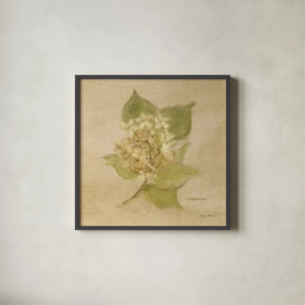 White Velvet Hydrangea by Cheri Blum. Shown in a sleek black glass frame for a contemporary gallery look. Available as an archival giclee rolled canvas, fine art paper, or poster print. SKU 6973a.