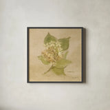 White Velvet Hydrangea by Cheri Blum. Shown in a sleek black glass frame for a contemporary gallery look. Available as an archival giclee rolled canvas, fine art paper, or poster print. SKU 6973a.