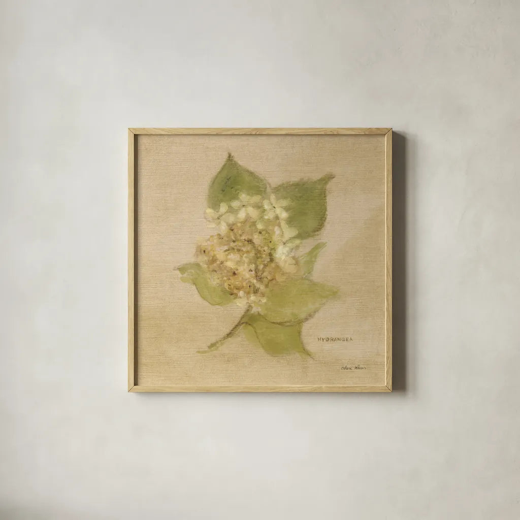White Velvet Hydrangea by Cheri Blum. Shown in a natural wood glass frame for a timeless modern aesthetic. Available as an archival giclee rolled canvas, fine art paper, or poster print. SKU 6973a.