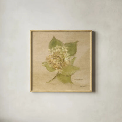 White Velvet Hydrangea by Cheri Blum. Shown in a natural wood glass frame for a timeless modern aesthetic. Available as an archival giclee rolled canvas, fine art paper, or poster print. SKU 6973a.