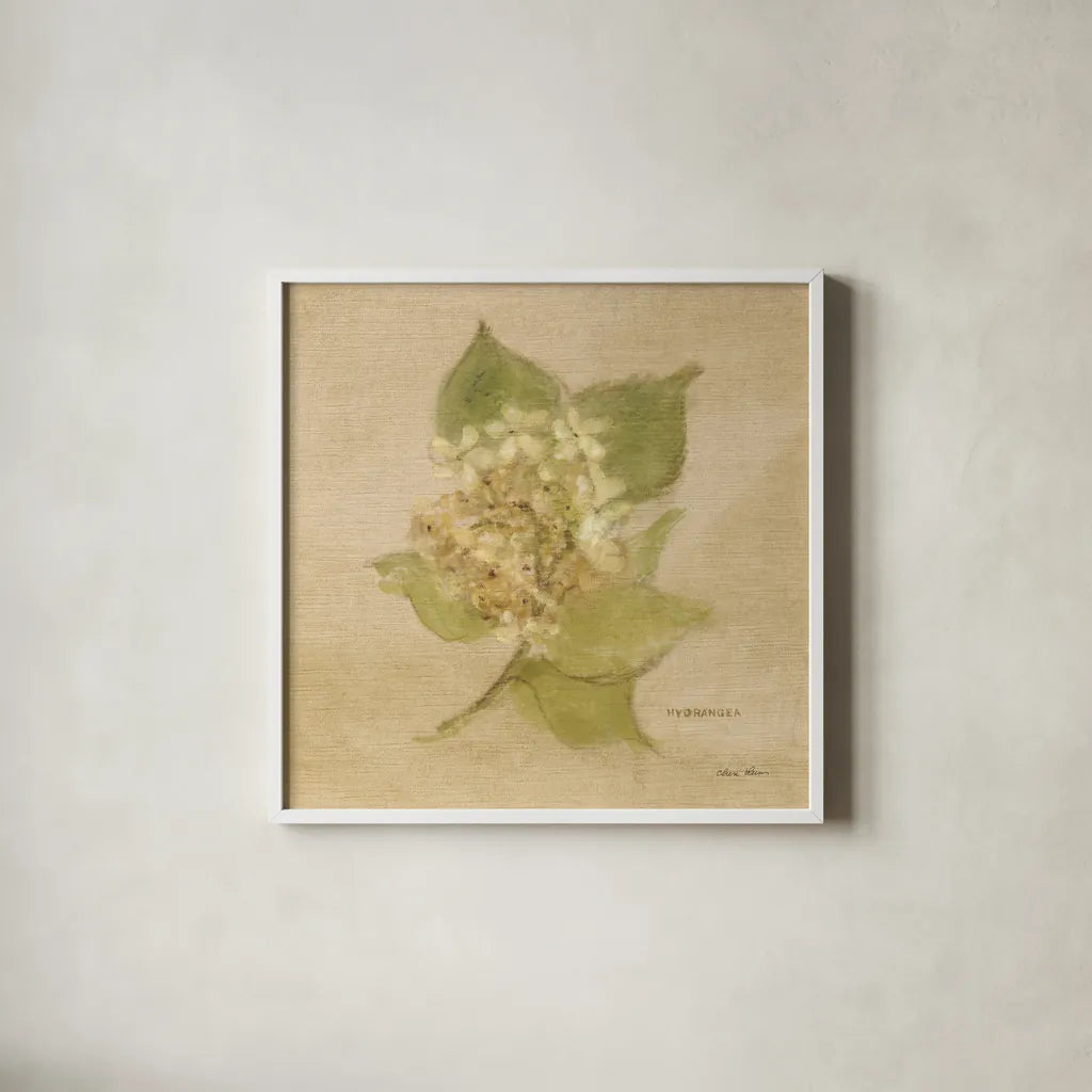 White Velvet Hydrangea by Cheri Blum. Shown in a crisp white glass frame for a clean and minimalist style. Available as an archival giclee rolled canvas, fine art paper, or poster print. SKU 6973a.