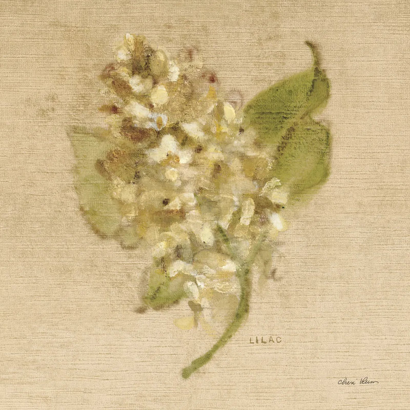 White Velvet Lilac by Cheri Blum. SKU 6974a. Archival Giclee Fine art print for wall decor.