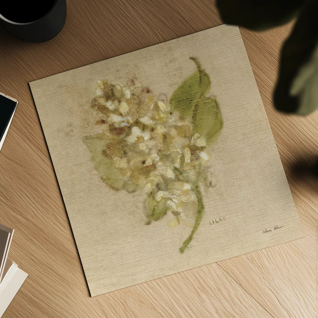 White Velvet Lilac by Cheri Blum. Shown as a detailed flat fine art print, highlighting archival giclee quality. Available as an archival giclee rolled canvas, fine art paper, or poster print. SKU 6974a.