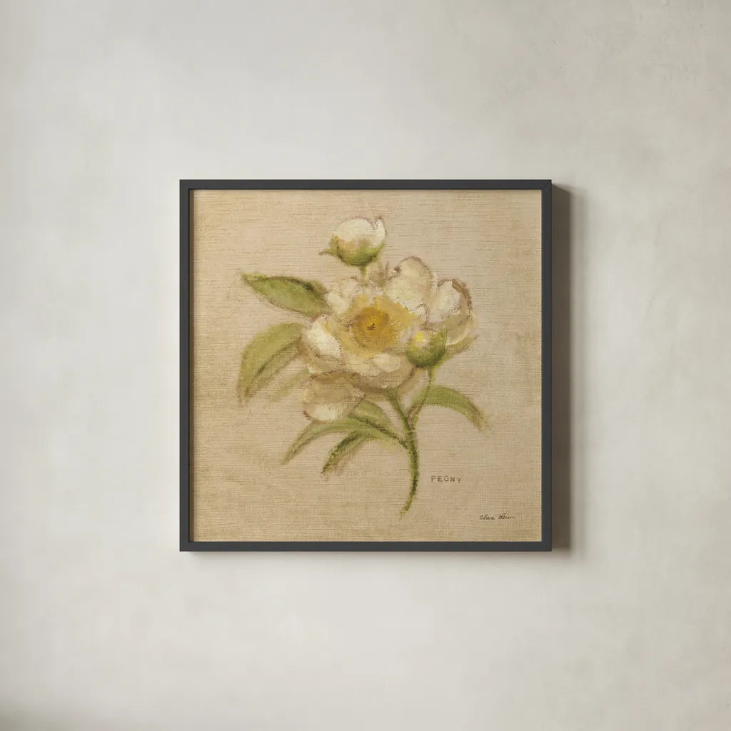 White Velvet Peony by Cheri Blum. Shown in a sleek black glass frame for a contemporary gallery look. Available as an archival giclee rolled canvas, fine art paper, or poster print. SKU 6975a.