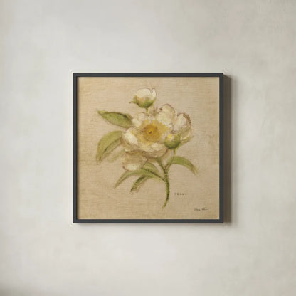 White Velvet Peony by Cheri Blum. Shown in a sleek black glass frame for a contemporary gallery look. Available as an archival giclee rolled canvas, fine art paper, or poster print. SKU 6975a.