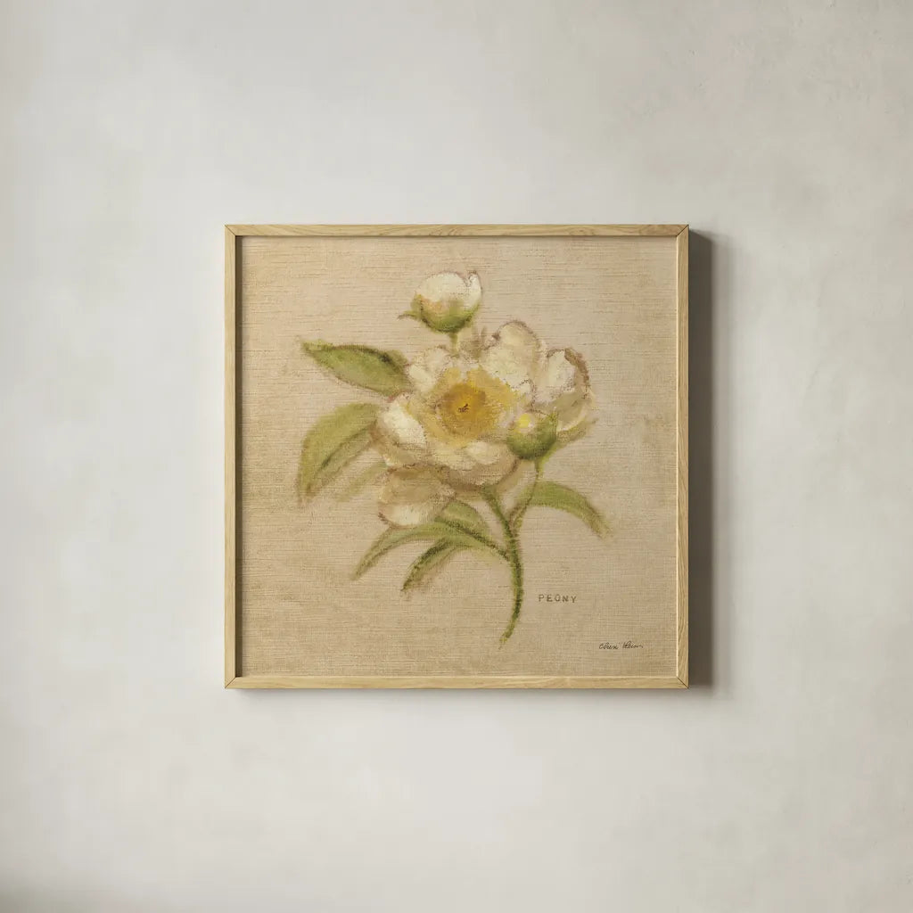 White Velvet Peony by Cheri Blum. Shown in a natural wood glass frame for a timeless modern aesthetic. Available as an archival giclee rolled canvas, fine art paper, or poster print. SKU 6975a.
