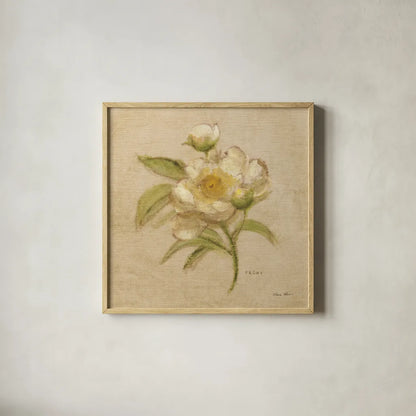 White Velvet Peony by Cheri Blum. Shown in a natural wood glass frame for a timeless modern aesthetic. Available as an archival giclee rolled canvas, fine art paper, or poster print. SKU 6975a.