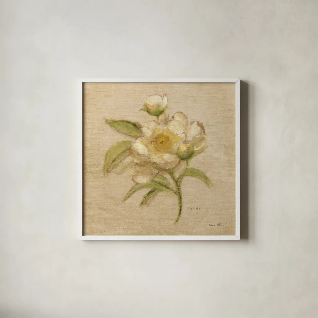 White Velvet Peony by Cheri Blum. Shown in a crisp white glass frame for a clean and minimalist style. Available as an archival giclee rolled canvas, fine art paper, or poster print. SKU 6975a.