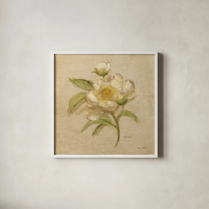 White Velvet Peony by Cheri Blum. Shown in a crisp white glass frame for a clean and minimalist style. Available as an archival giclee rolled canvas, fine art paper, or poster print. SKU 6975a.