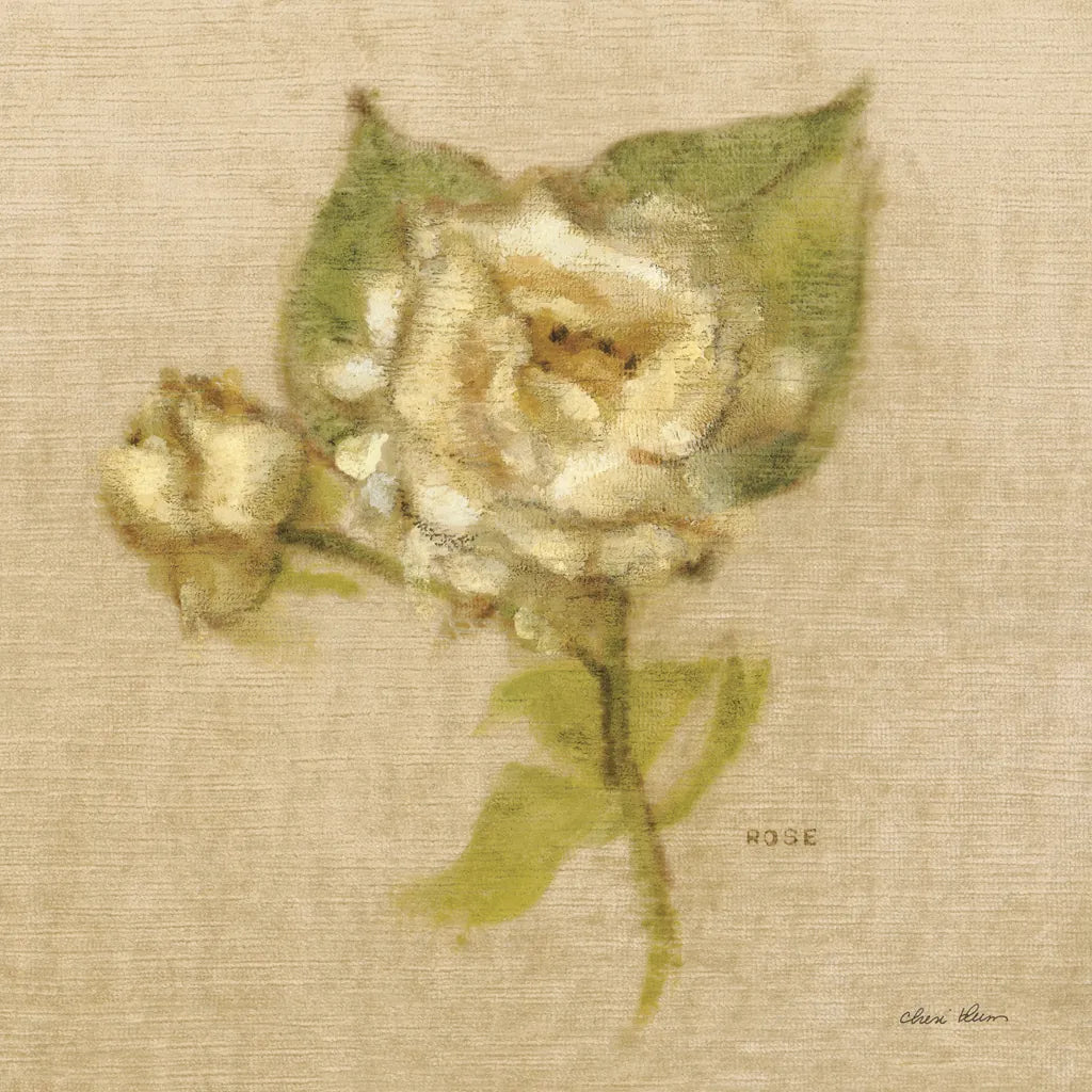 White Velvet Rose by Cheri Blum. SKU 6972a. Archival Giclee Fine art print for wall decor.