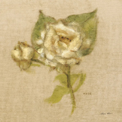 White Velvet Rose by Cheri Blum. SKU 6972a. Archival Giclee Fine art print for wall decor.