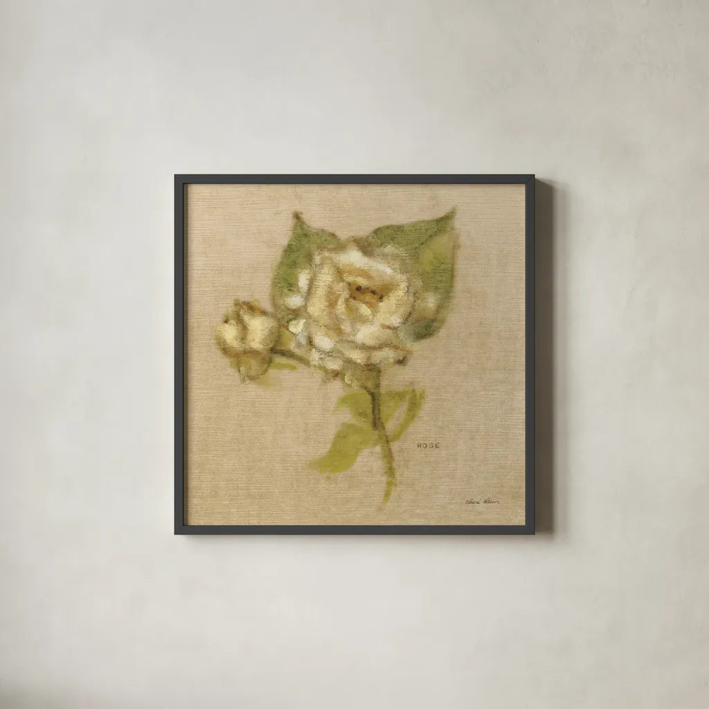 White Velvet Rose by Cheri Blum. Shown in a sleek black glass frame for a contemporary gallery look. Available as an archival giclee rolled canvas, fine art paper, or poster print. SKU 6972a.
