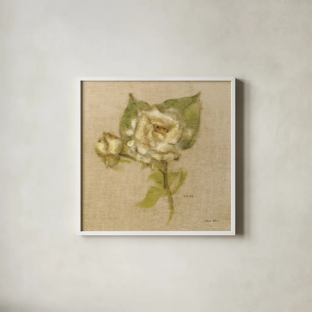 White Velvet Rose by Cheri Blum. Shown in a crisp white glass frame for a clean and minimalist style. Available as an archival giclee rolled canvas, fine art paper, or poster print. SKU 6972a.