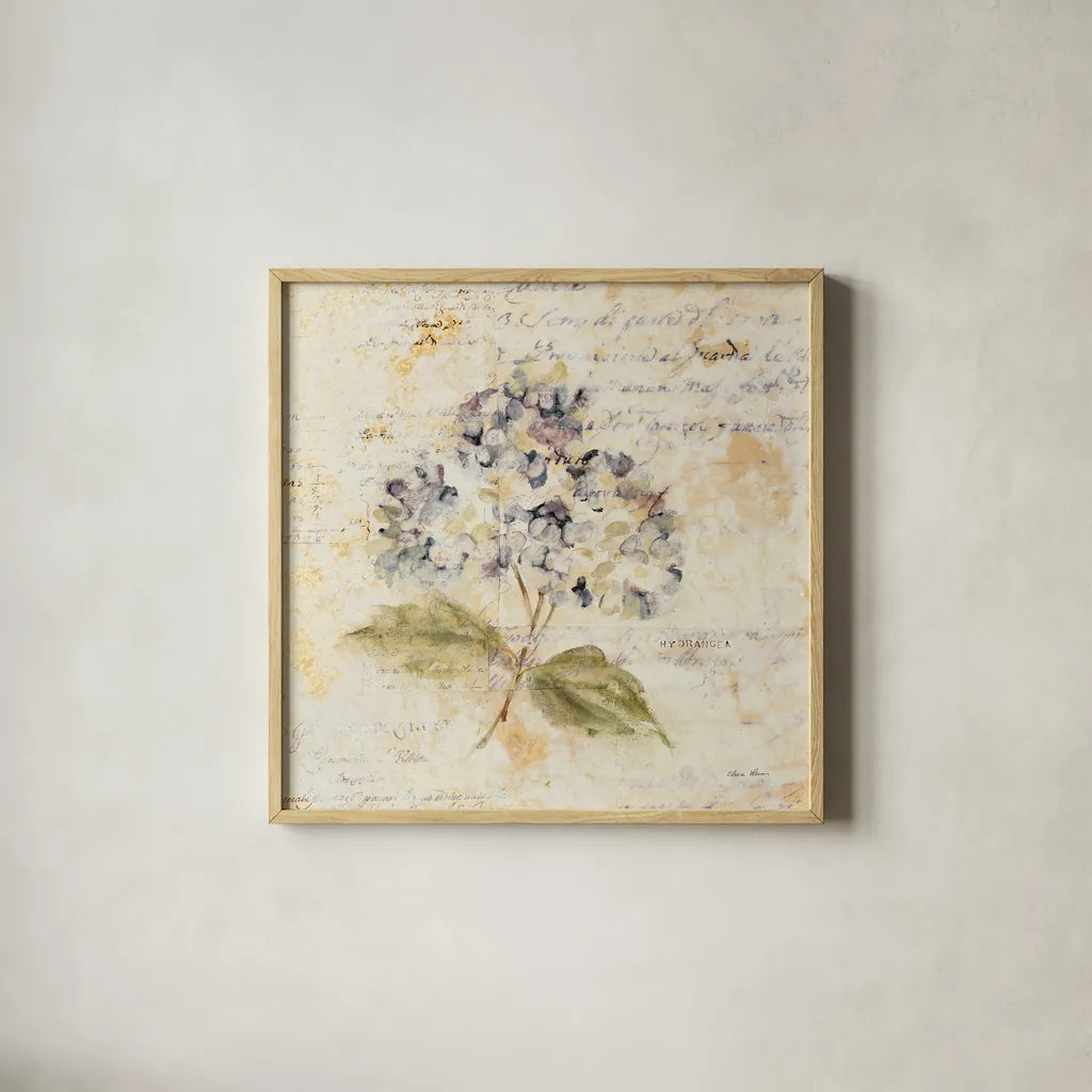 White Wash Hydrangea by Cheri Blum. Shown in a natural wood glass frame for a timeless modern aesthetic. Available as an archival giclee rolled canvas, fine art paper, or poster print. SKU 7031a.