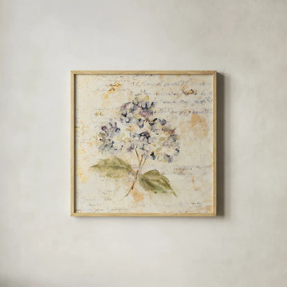 White Wash Hydrangea by Cheri Blum. Shown in a natural wood glass frame for a timeless modern aesthetic. Available as an archival giclee rolled canvas, fine art paper, or poster print. SKU 7031a.