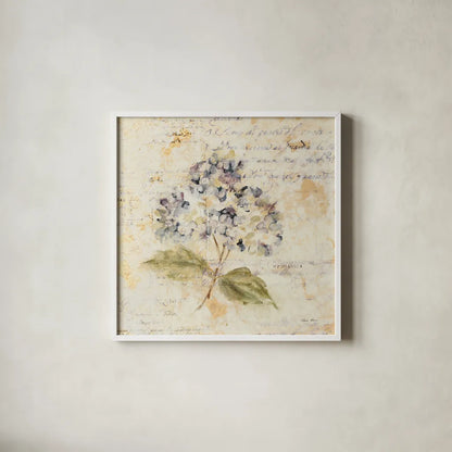 White Wash Hydrangea by Cheri Blum. Shown in a crisp white glass frame for a clean and minimalist style. Available as an archival giclee rolled canvas, fine art paper, or poster print. SKU 7031a.